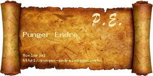 Punger Endre névjegykártya