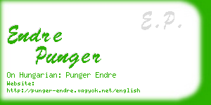 endre punger business card